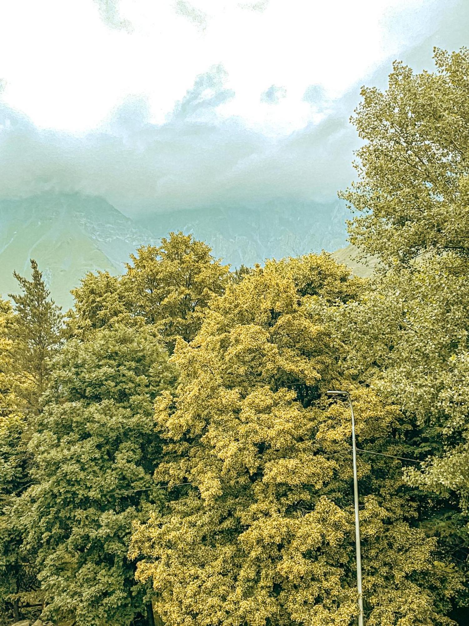 Hotel Gold Kazbegi Kültér fotó